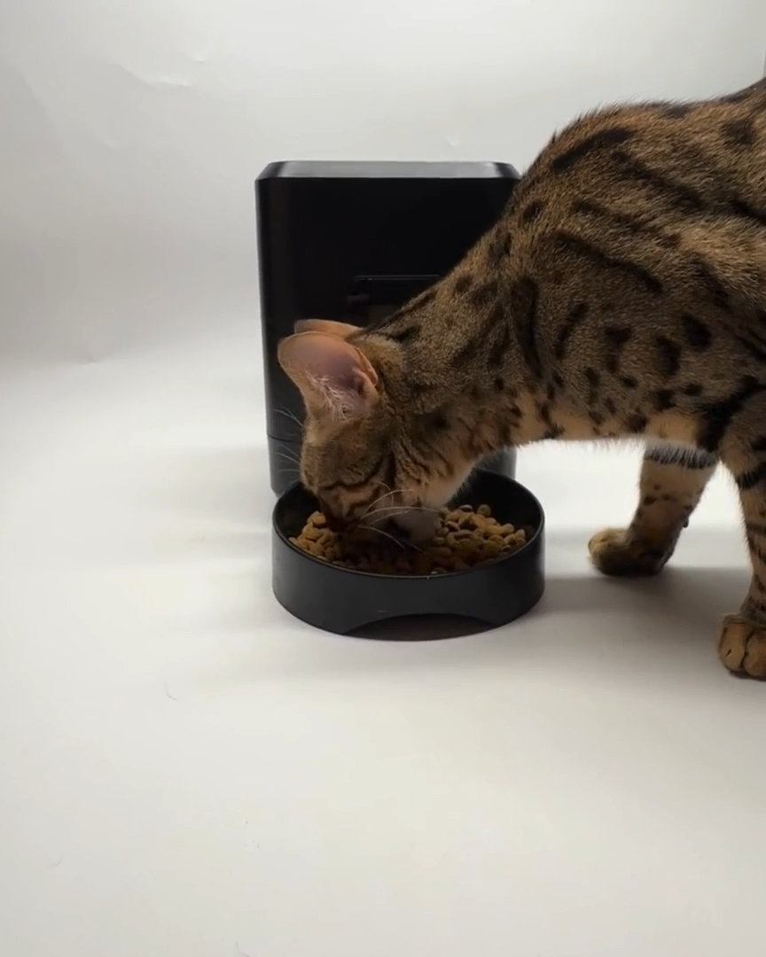 Mangeoire intelligente Drevuna â Nourrissez vos animaux en toute simplicitĂ©